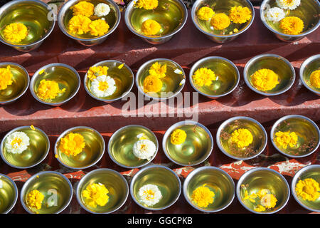 Schalen mit Safran Wasser und Blumen im Boudhadhnath Tempel in Kathmandu, Nepal Stockfoto