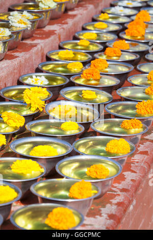 Schalen mit Safran Wasser und Blumen im Boudhadhnath Tempel in Kathmandu, Nepal Stockfoto