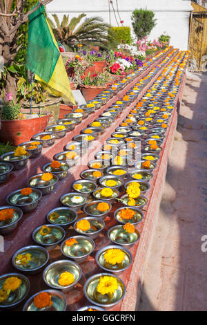 Schalen mit Safran Wasser und Blumen im Boudhadhnath Tempel in Kathmandu, Nepal Stockfoto