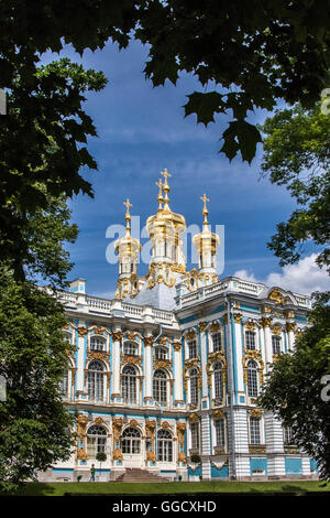 Katharinenpalast, St. Petersburg, Russland. Stockfoto