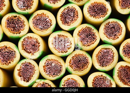 Gruppe von gelben und grünen Kupfer Erdkabel verwendet in Elektroinstallation Nahaufnahme Stockfoto