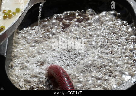 Saft in einem Tank aus einer Traube Presse bei Leithammel Wines, Coonawarra, Australien Stockfoto