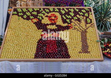 Fest der Kirschenfrucht in Kjustendil, Rechnungsvorlage, ihre Produktion rohem Obst, Bulgarien Stockfoto