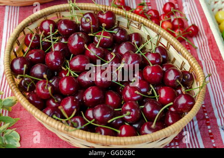 Fest der Kirschenfrucht in Kjustendil, Rechnungsvorlage, ihre Produktion rohem Obst, Bulgarien Stockfoto