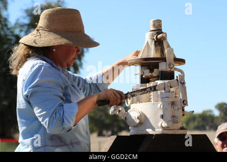 Winzer sue Glocke pressen Trauben mit einer Traube Hydraulikpresse während der Erntezeit bei Leithammel Wines, Coonawarra, Australien Stockfoto