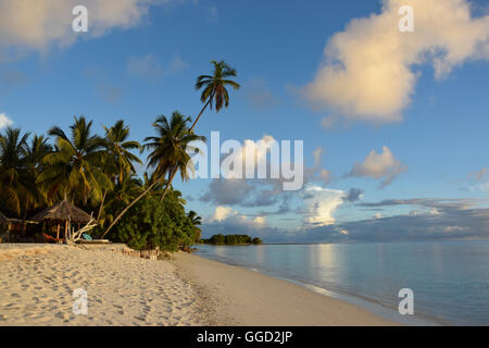 Geographie/Reisen, Seychellen, Amirante Insel, Desroches Island, hotel, Hotel, Meer, Palmen, Strand, Additional-Rights - Clearance-Info - Not-Available Stockfoto