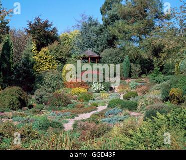 Herbst-Garten - (Bitte geben Sie: Hort/The Dorothy Clive Memorial Garden Fotos) AUB065043 Foto Stockfoto