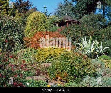 Herbst-Garten - (Bitte geben Sie: Fotos Hort / Dorothy Clive Memorial Gdn) AUB065040 Fotos Hort Stockfoto