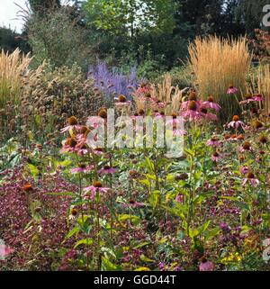 Herbst-Garten - (bitte Kredit: Fotos Hort / Ryton HDRA Garten) AUB109011 Stockfoto