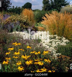 Herbst-Garten - (bitte Kredit: Fotos Hort / Ryton HDRA Garten) AUB109013 Stockfoto