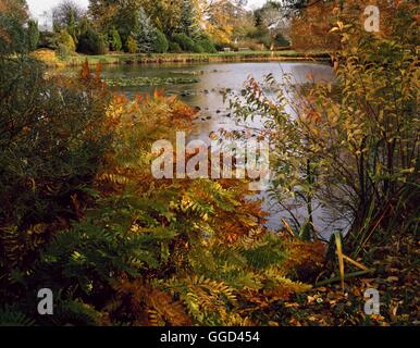 Herbst - Garten - (bitte Kredit: Fotos Hort/RHS Wisley Gdn) AUB110865 /Ph Stockfoto