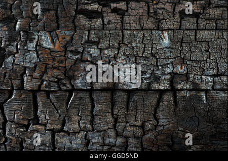 Verkohltes Holz Hintergrundtextur Stockfoto