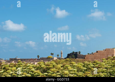 Israel, Naher Osten: Die Caesarea National Park, Heimat der Hellenistischen, römischen und Byzantinischen archäologische Funde der Stadt gebaut von Herodes Stockfoto