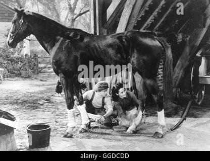 KLEINES MÄDCHEN, GROßES HERZ / National Velvet USA 1944 / Clarence Brown Velvet Brown (ELIZABETH TAYLOR) ist Überglücklich, als Sie Bei Einer Tombola Das Pferd Pie Caspers, Das Sie Längst Lieb tafelsitten Hut. Ausgangsrohstoff Verfolgt Das Kleine Mädchen Hartnäckig Eine Kühne Idee: Pie Söll Beim Schwersten Rennen der Welt Starten. Der Junge Ex-Jockey Mi Taylor (MICKEY ROONEY), Auf Seiner Ziellosen Wanderschaft Bei den Browns Untergeschlüpft, Hilft samt Dabei Nach Kräften. Regie: Clarence Brown aka. National Velvet Stockfoto