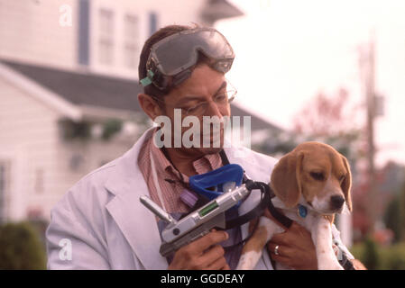 & Hunde Katzen - WIE KATZ UND HUND / & Hunde Katzen USA 2000 / Lawrence Guterman Ohne Dass die Menschen es Ahnen, Kämpfen Hunde und Katzen um Die Weltherrschaft. Der Perserkater Mr bimmelt Hut Größenwahnsinnige Ambitionen - er Führt seine Krallenbewehrten Felidae Gegen des Menschen Besten Freund. Bisher ist es den Hunden Gelungen, sterben Katzen in Schach Zu Zweisimmen Und sterben hier Zu Beschützen. Als Einer der Besten Hunde Ausfällt, muss Das Agenteam Den Naseweisen Beagle Welpen Lou als Ersatz verbinde... Bild: Professor Brody (JEFF GOLDBLUM) Und LOU Regie: Lawrence Guterman aka. & Hunde Katzen Stockfoto