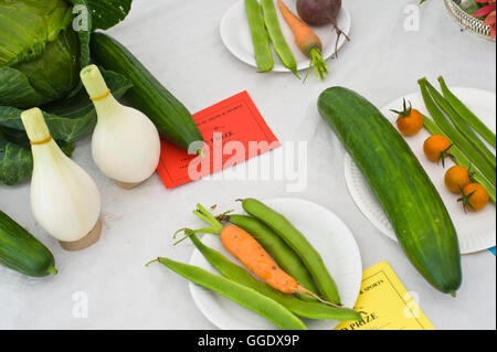 Preisgekrönte Gemüse auf Gwenddwr, Gwenddwr, in der Nähe von Builth Wells, Powys, Wales, UK Stockfoto