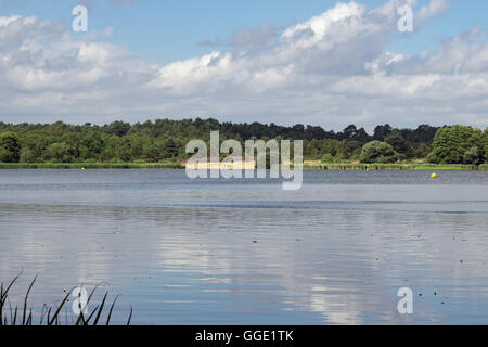 Die ruhigen Gewässer der Frensham großer Teich in Surrey Stockfoto