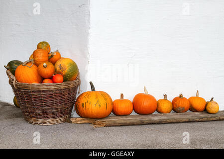 Kürbisse in einem Weidenkorb und eine Zeile. Im freien Bild in der Herbstsaison. Stockfoto