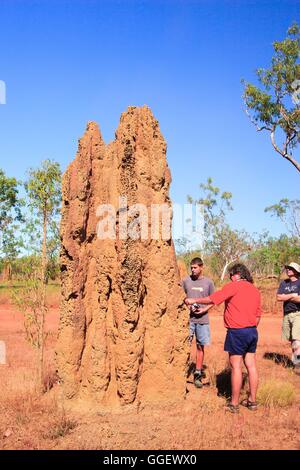 Riesige Termitenhügel Zwerg Besucher zum Kakadu Nationalpark, Northern Territory, Australien. Stockfoto