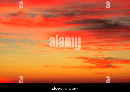 Blick vom Ubirr nach Sonnenuntergang. Stockfoto