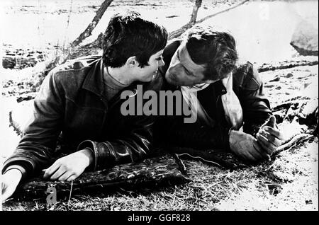 REBELLEN IN LEDERJACKEN / Teufels Engel USA 1967 / Daniel Haller Lynn (BEVERLY ADAMS), Cody (JOHN CASSAVETES) Regie: Daniel Haller aka. Teufels-Engel Stockfoto