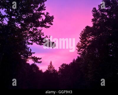 Hell rosa Wolken aus einem lebendigen Sommer Sonnenuntergang. Stockfoto