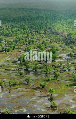 Eine Luftaufnahme der Feuchtgebiete des Kakadu National Park, Northern Territory, Australien. Stockfoto