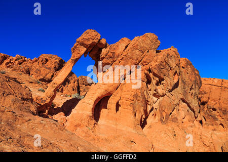 Dies ist ein Blick auf die Felsformation bekannt als Elephant Rock im Valley of Fire State Park, Nevada, USA. Stockfoto