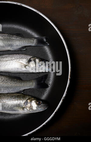 frischer Fisch, Wolfsbarsch, bereit für das Kochen Stockfoto