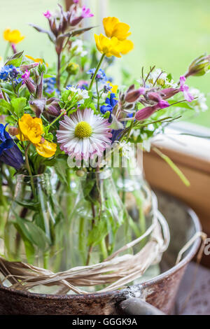 Botanik, im Landhausstil Ornamentik mit Wiese Blume, Additional-Rights - Clearance-Info - Not-Available Stockfoto