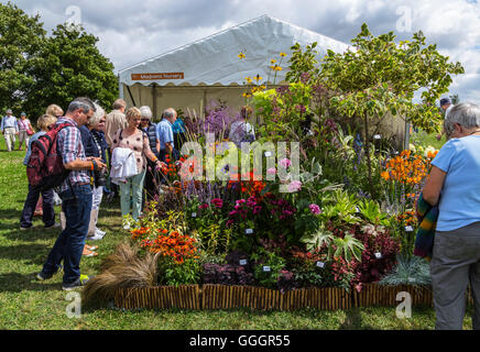 Peopel Blick auf bunte Blütenpracht am RHS Hyde Hall Blumenschau Stockfoto