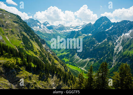 Geographie/Reisen, Deutschland, Bayern, Panorama vom weg gleiten in die hintere Oy Tal und auf die Hoefats (Berg), 1919 m, Allgäuer Alpen, Allgäu, Freedom-Of - Panorama Stockfoto
