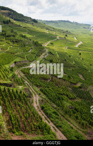 Geographie/reisen, Frankreich, Elsass, Kaysersberg (Mount Kaysers), weg durch den Weinberg, Additional-Rights - Clearance-Info - Not-Available Stockfoto