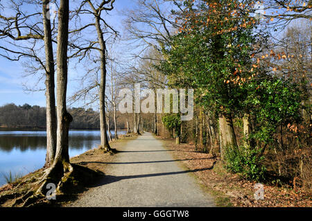 Teich und Wald von Sillé-le-Guillaume in Frankreich, Departement Sarthe Stockfoto