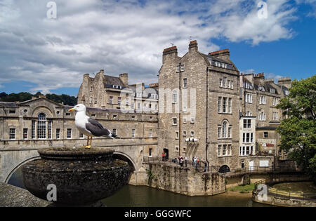 Großbritannien, Bath, Pulteney Bridge & River Avon. Stockfoto