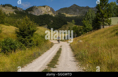 Motorradfahrer unterwegs in der Natur Stockfoto