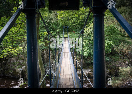 Hängebrücke über den Fluss Tees in der Nähe von Low Force Wasserfall, Teesdale Stockfoto