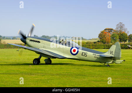 Vickers Supermarine Seafire F.Mk XVII, SX336 auf dem Old Warden Airfield, Stockfoto