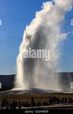 In diesem Bild sehen Sie die Massen "Old Faithful" Geysir im Yellowstone-Nationalpark, Wyoming ausbrechen. Stockfoto