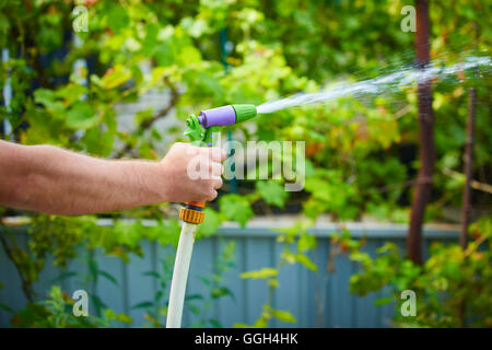 Bewässerung Garten arbeiten aus Schlauch Stockfoto