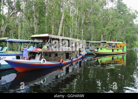 Klotok am Sekonyer River, Indonesien. Traditionellen Flussschiff verwendet, um die Gewässer Indonesiens zu navigieren. Ausgestattet mit Innenbordmotor oder verkleinern Stockfoto