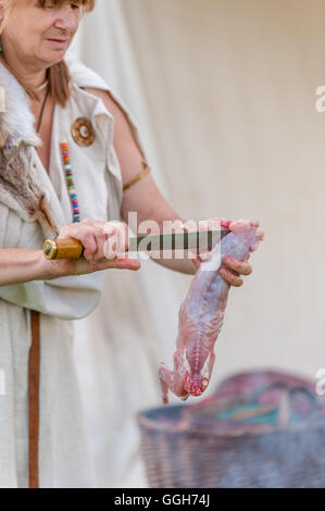 Schlacht von Wodensfield Re-Enactment August 5. 910 n. Chr. Die Schlacht von Tettenhall (manchmal genannt die Schlacht von Birmingham) Stockfoto