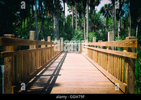 Erhöhten Holzsteg Brücke über Sümpfe in schweren Waldgebiet Stockfoto