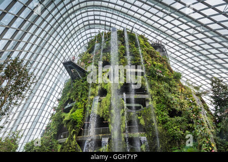 Singapur - Januar 15: Nachtansicht Supertree Grove Gardens an der Bucht am 15. Januar 2016 in Singapur. 101 Hecta überspannt Stockfoto