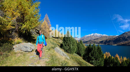 Frau wandern über dem Silsersee mit dem Dorf von Isola und Piz Corvatsch (3451 m) am gegenüberliegenden Ufer, Engadin, Graubünden, Schweiz Stockfoto