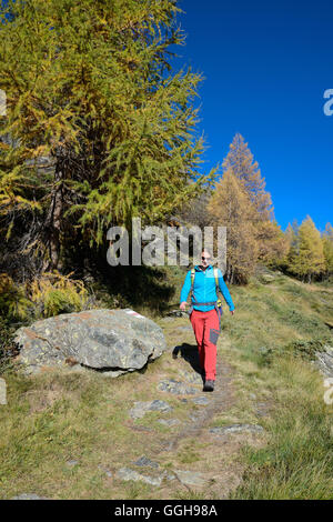 Frau wandern über dem Silsersee, Engadin, Graubünden, Schweiz Stockfoto