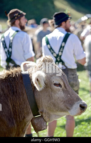 Zwei Männer tragen traditionelle Kleidung, Viehscheid, Allgäu, Bayern, Deutschland Stockfoto