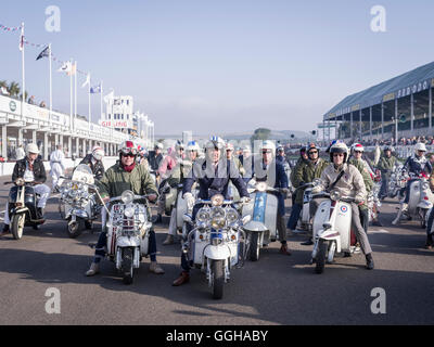 Mods auf Rollern, Goodwood Festival of Speed 2014, Rennen, Autorennen, Oldtimer, Chichester, Sussex, Großbritannien, große Br Stockfoto