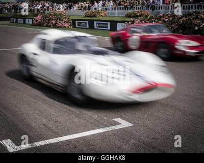 1962 Maserati Tipo 151, Goodwood Revival 2014, Rennsport, Oldtimer, Goodwood, Chichester, Sussex, England, Großbritannien Stockfoto