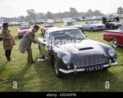Aston Martin DB5, Besucher-Parkplatz, Goodwood Revival 2014, Racing Sport, Oldtimer, Goodwood, Chichester, Sussex, England, Stockfoto